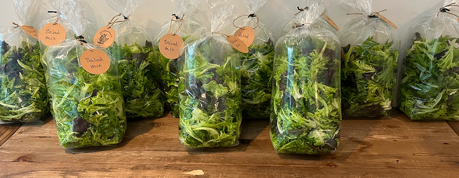 FINALLY, SEED STARTING!